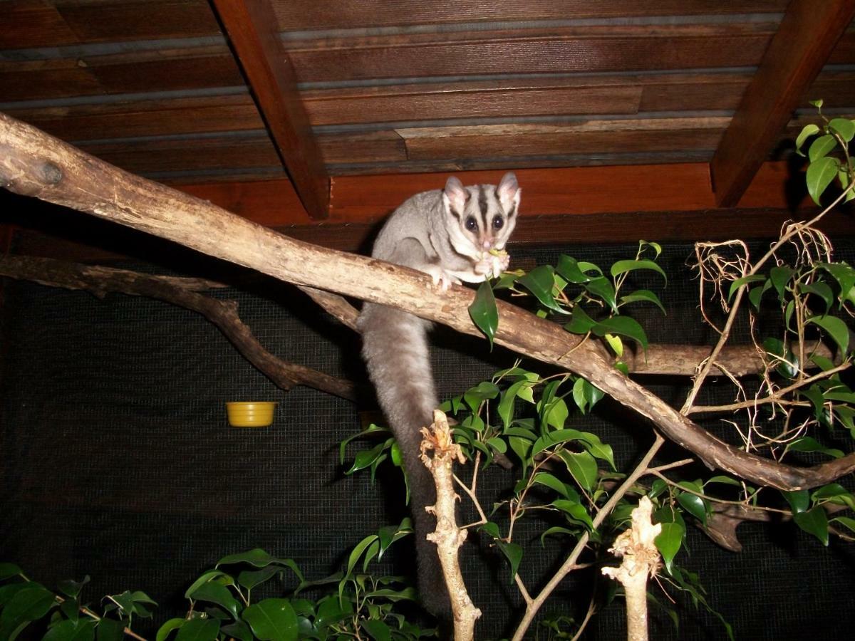 Forest Lodge: Little Villa 阿格奈什沃特 外观 照片